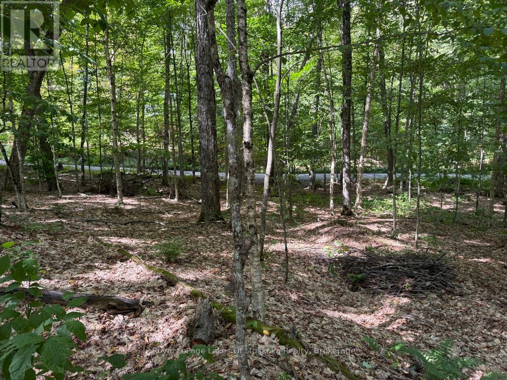 Lot 85 Brennan Circle, Huntsville, Ontario  P1H 2J2 - Photo 9 - X12384944