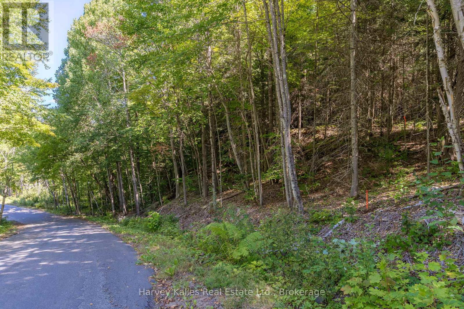 0 East Walker Lake Road, Lake Of Bays, Ontario  P1H 2J6 - Photo 4 - X12385209