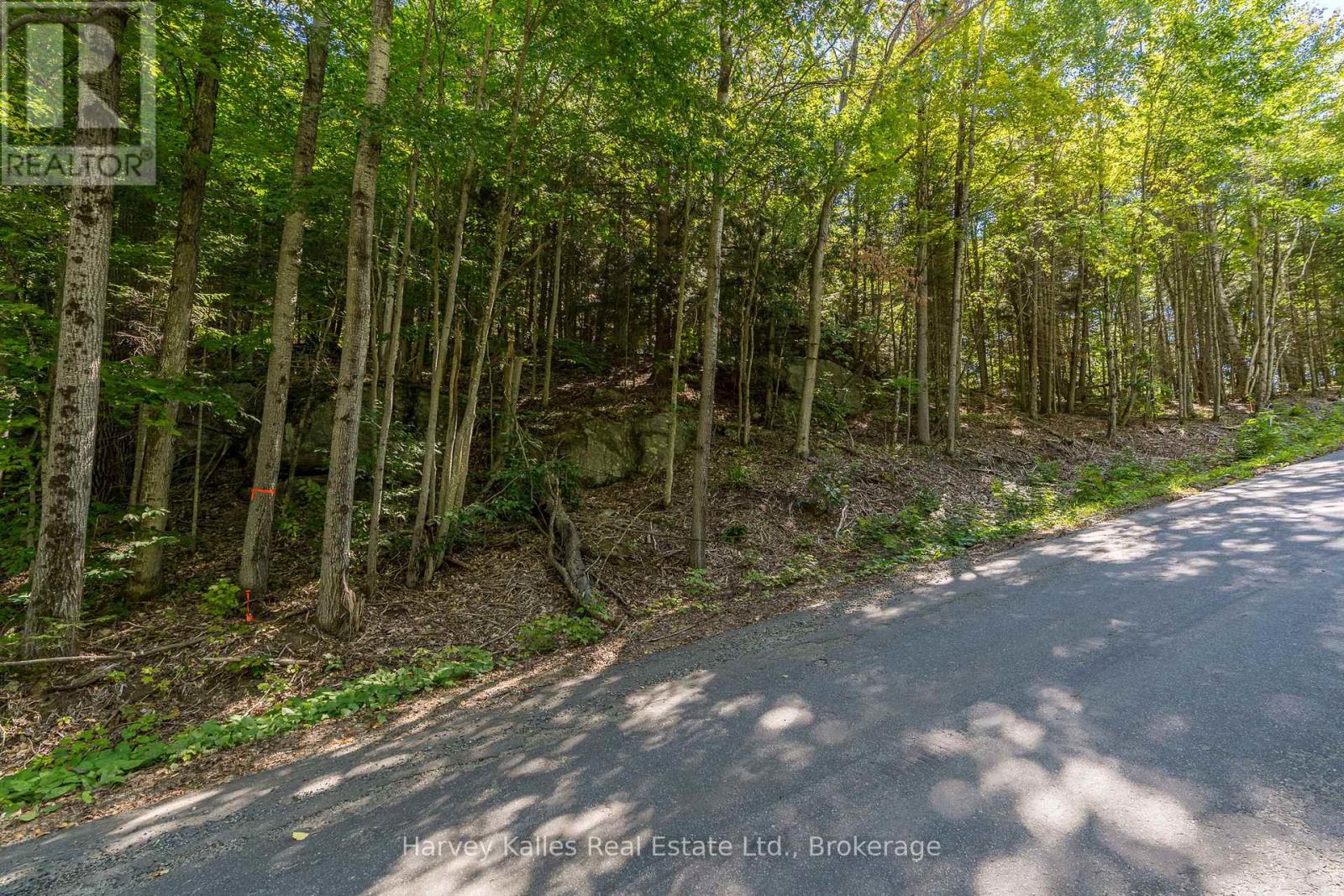 0 East Walker Lake Road, Lake Of Bays, Ontario  P1H 2J6 - Photo 5 - X12385209