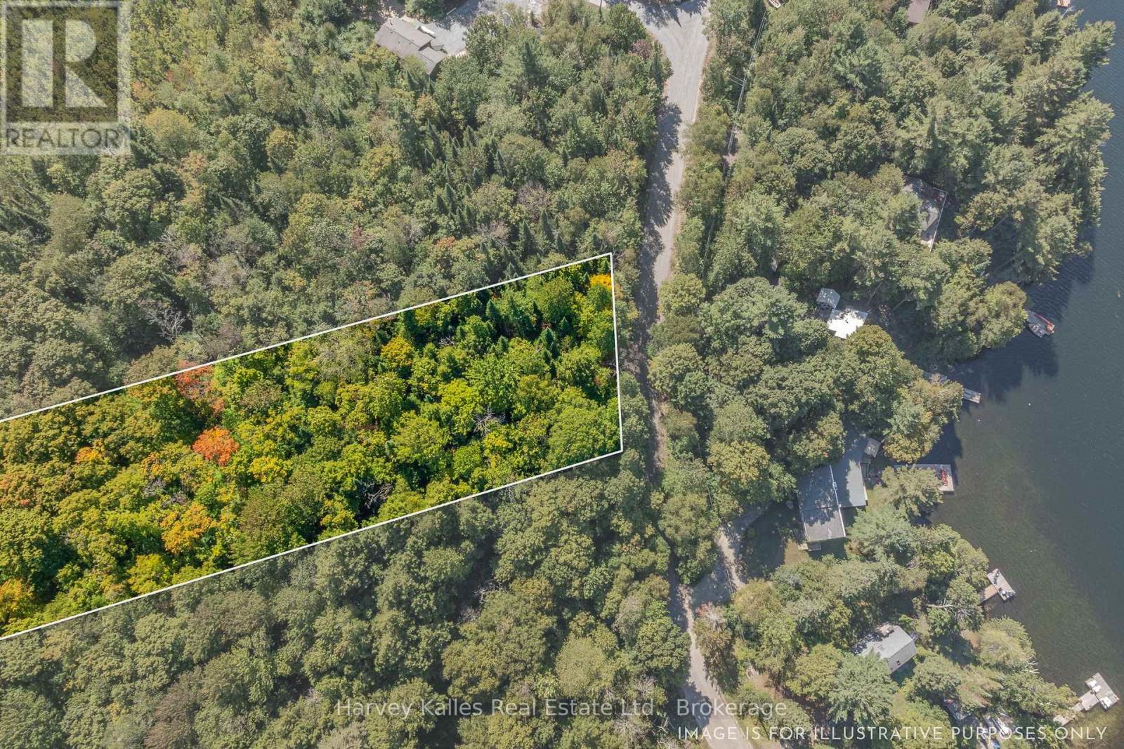 0 East Walker Lake Road, Lake Of Bays, Ontario  P1H 2J6 - Photo 8 - X12385209