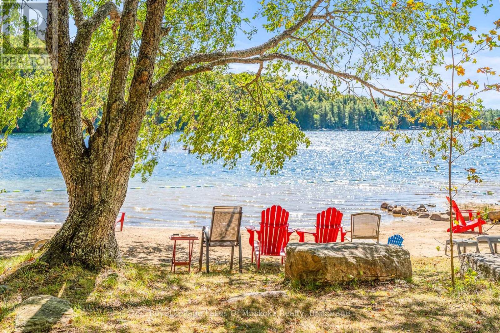 1341 Billie Bear Road, Lake Of Bays, Ontario  P1H 2J6 - Photo 35 - X12389032