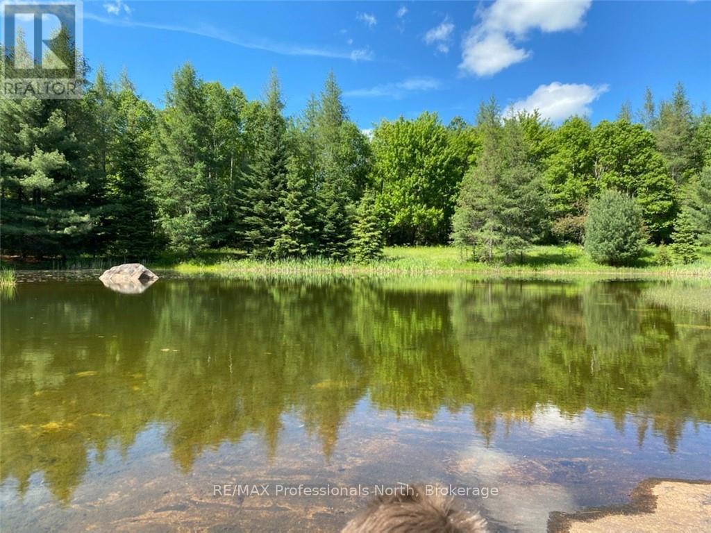 204 Mineral Springs Road, Huntsville, Ontario  P1H 2N5 - Photo 21 - X12393968