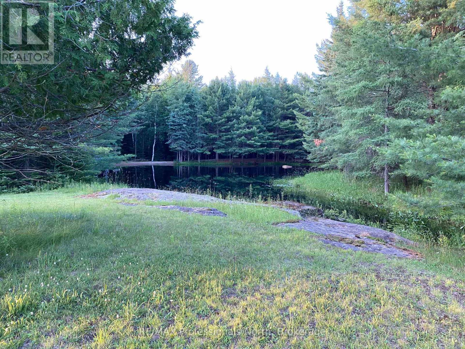 204 Mineral Springs Road, Huntsville, Ontario  P1H 2N5 - Photo 22 - X12393968