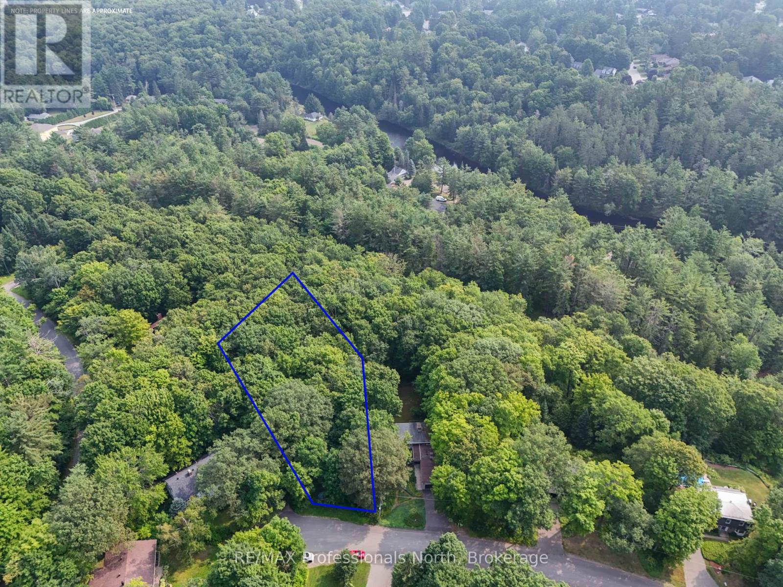 0 Woodland Drive, Bracebridge, Ontario  P1L 1M2 - Photo 2 - X12399808