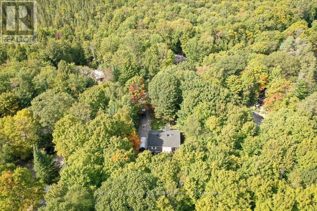 1160 Skeleton Lake Rd 2 Road, Muskoka Lakes, Ontario  P0B 1M0 - Photo 26 - X12400000