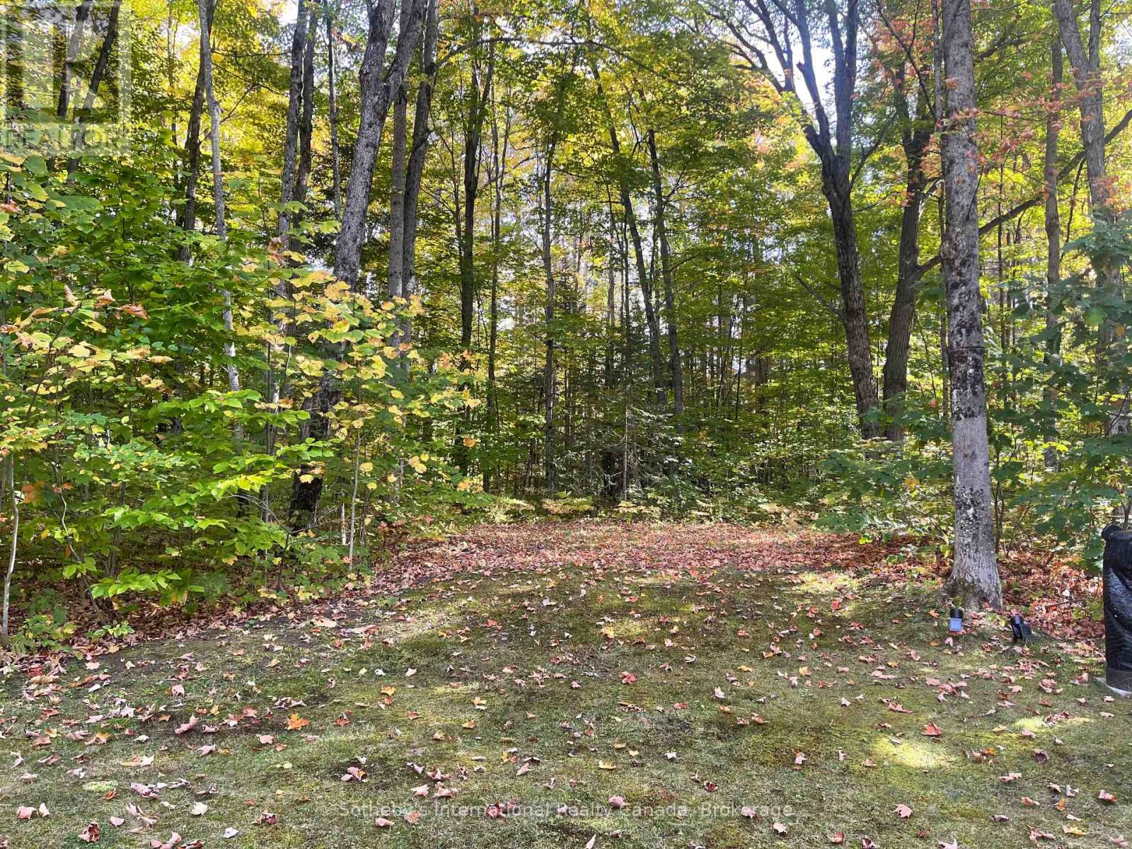 1160 Skeleton Lake Rd 2 Road, Muskoka Lakes, Ontario  P0B 1M0 - Photo 29 - X12400000