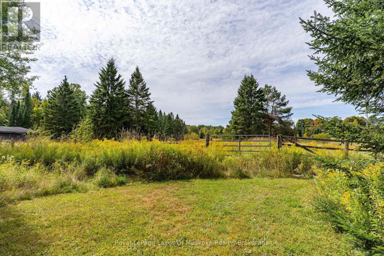 1419 Beatrice Townline Road, Muskoka Lakes, Ontario  P1L 1X4 - Photo 31 - X12401864