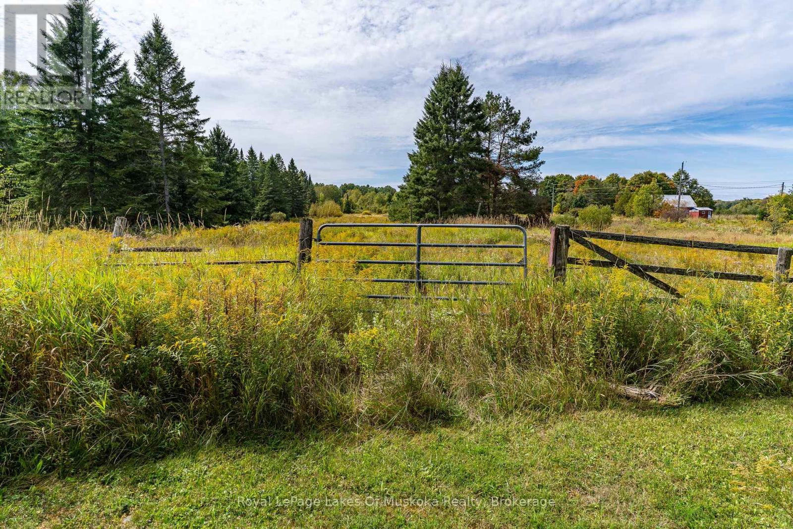 1419 Beatrice Townline Road, Muskoka Lakes, Ontario  P1L 1X4 - Photo 32 - X12401864