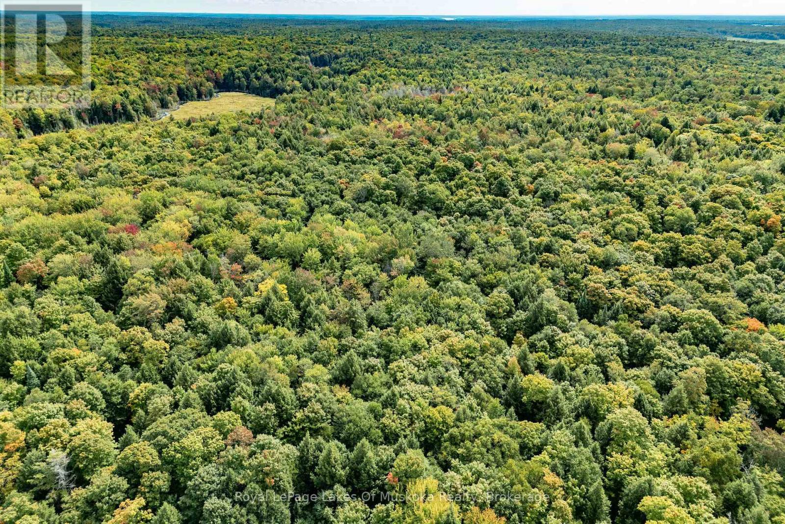 1419 Beatrice Townline Road, Muskoka Lakes, Ontario  P1L 1X4 - Photo 41 - X12401864