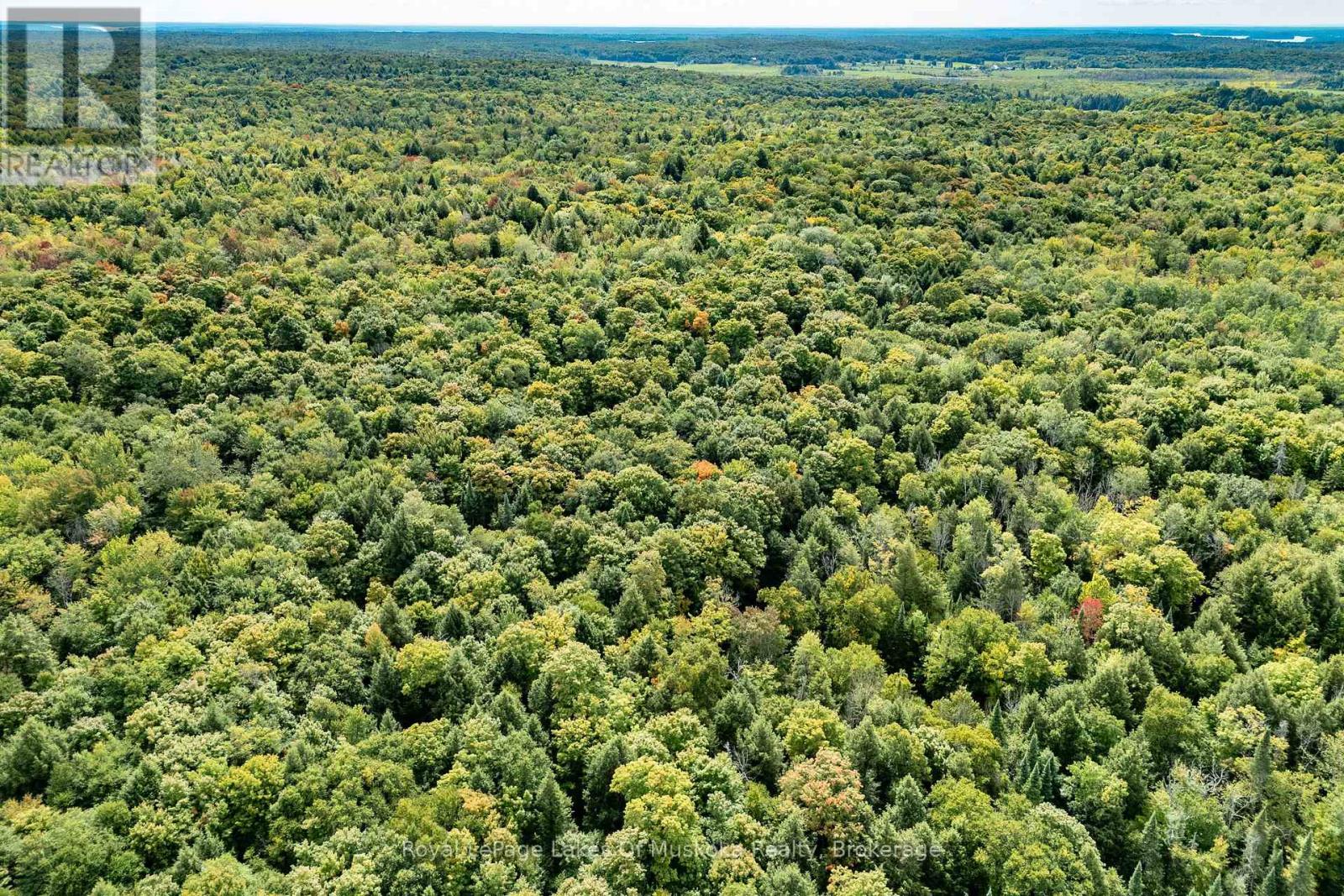 1419 Beatrice Townline Road, Muskoka Lakes, Ontario  P1L 1X4 - Photo 42 - X12401864