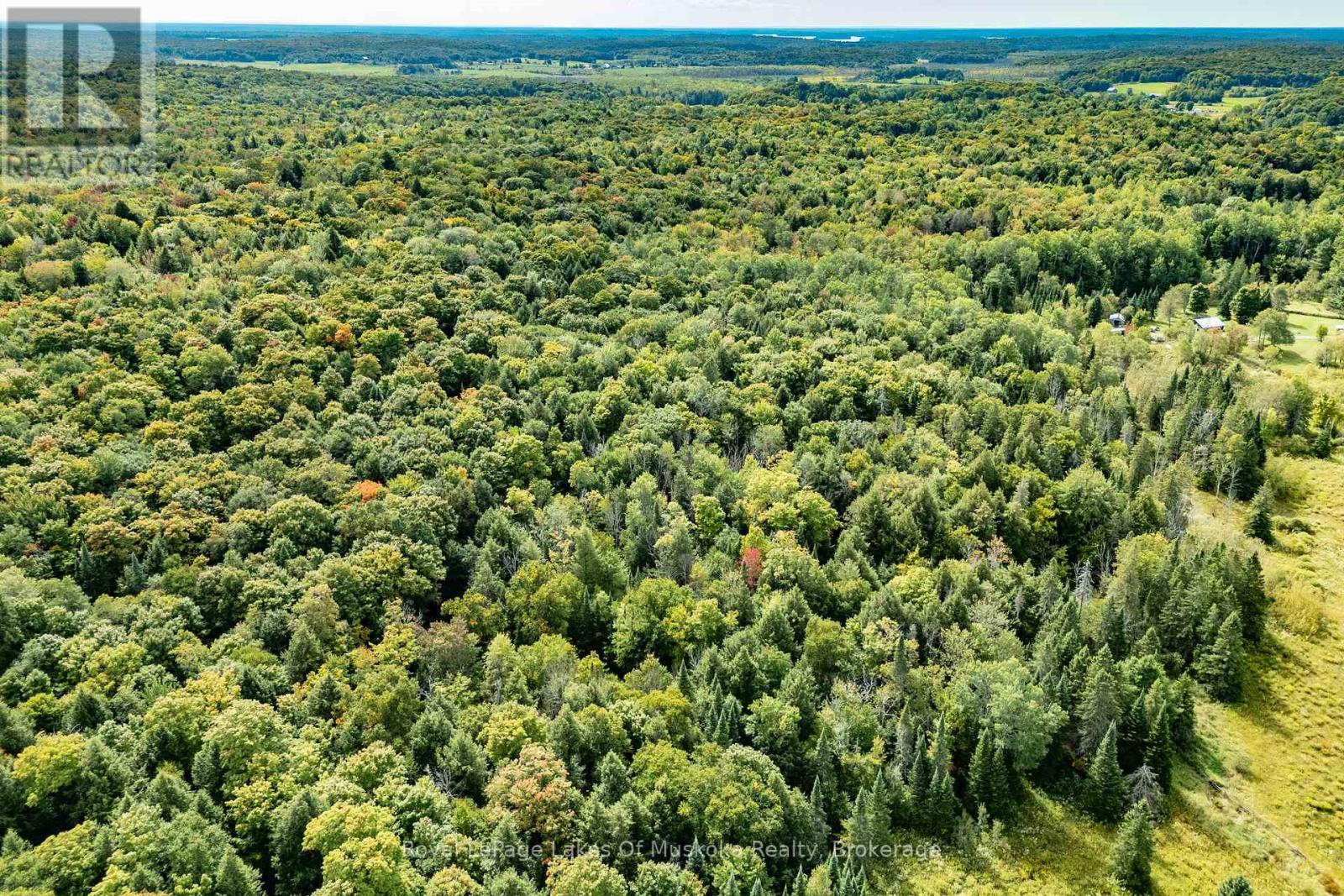 1419 Beatrice Townline Road, Muskoka Lakes, Ontario  P1L 1X4 - Photo 43 - X12401864