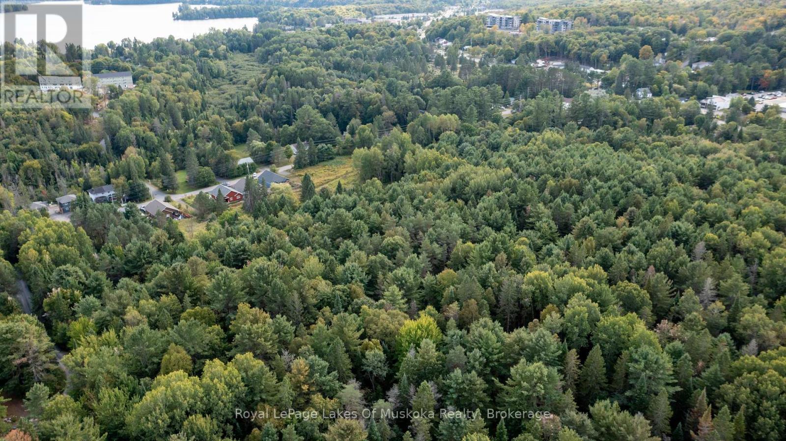 100 Chaffey Township Road, Huntsville, Ontario  P1H 1C8 - Photo 10 - X12403748