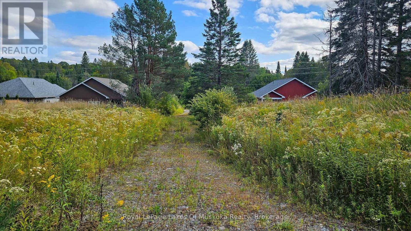 100 Chaffey Township Road, Huntsville, Ontario  P1H 1C8 - Photo 22 - X12403748