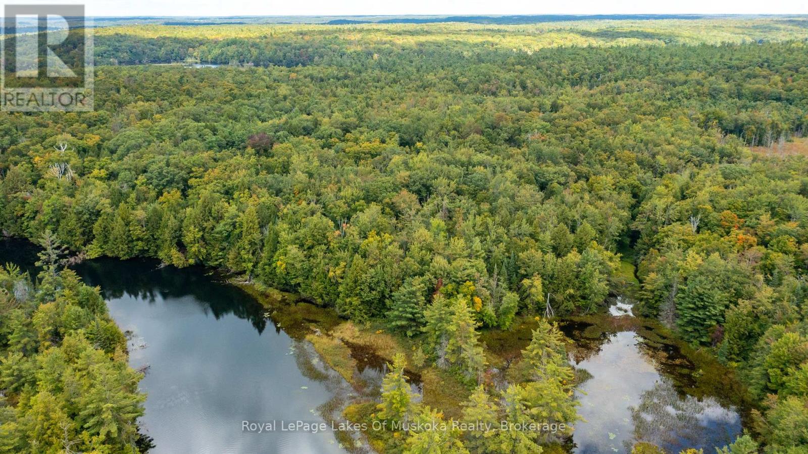 0 Muskoka River, Bracebridge, Ontario  P1L 0K3 - Photo 13 - X12405798