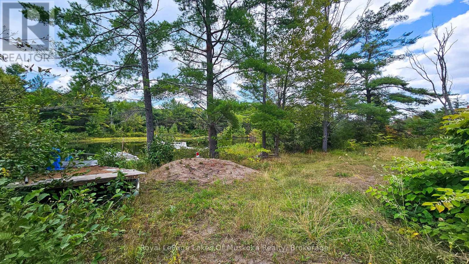 0 Muskoka River, Bracebridge, Ontario  P1L 0K3 - Photo 15 - X12405798