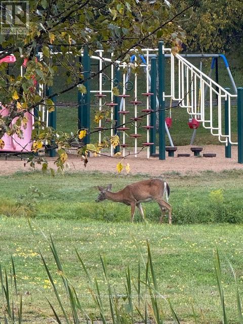 126-5 - 1052 Rat Bay Road S, Lake Of Bays, Ontario  P0A 1H0 - Photo 35 - X12409506