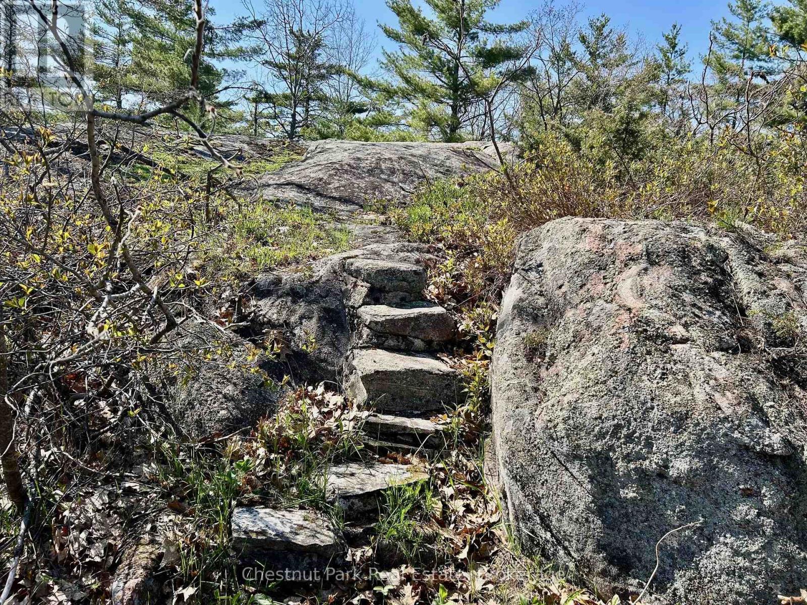 1 & 2 -1051 Wigwam Lodge Road, Gravenhurst, Ontario  P0E 1G0 - Photo 15 - X12410239