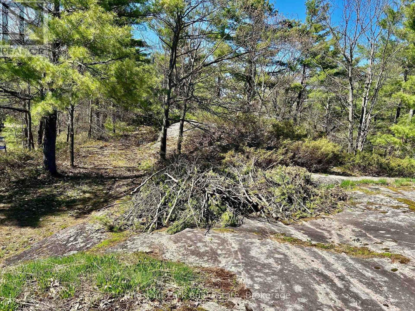 1 & 2 -1051 Wigwam Lodge Road, Gravenhurst, Ontario  P0E 1G0 - Photo 16 - X12410239