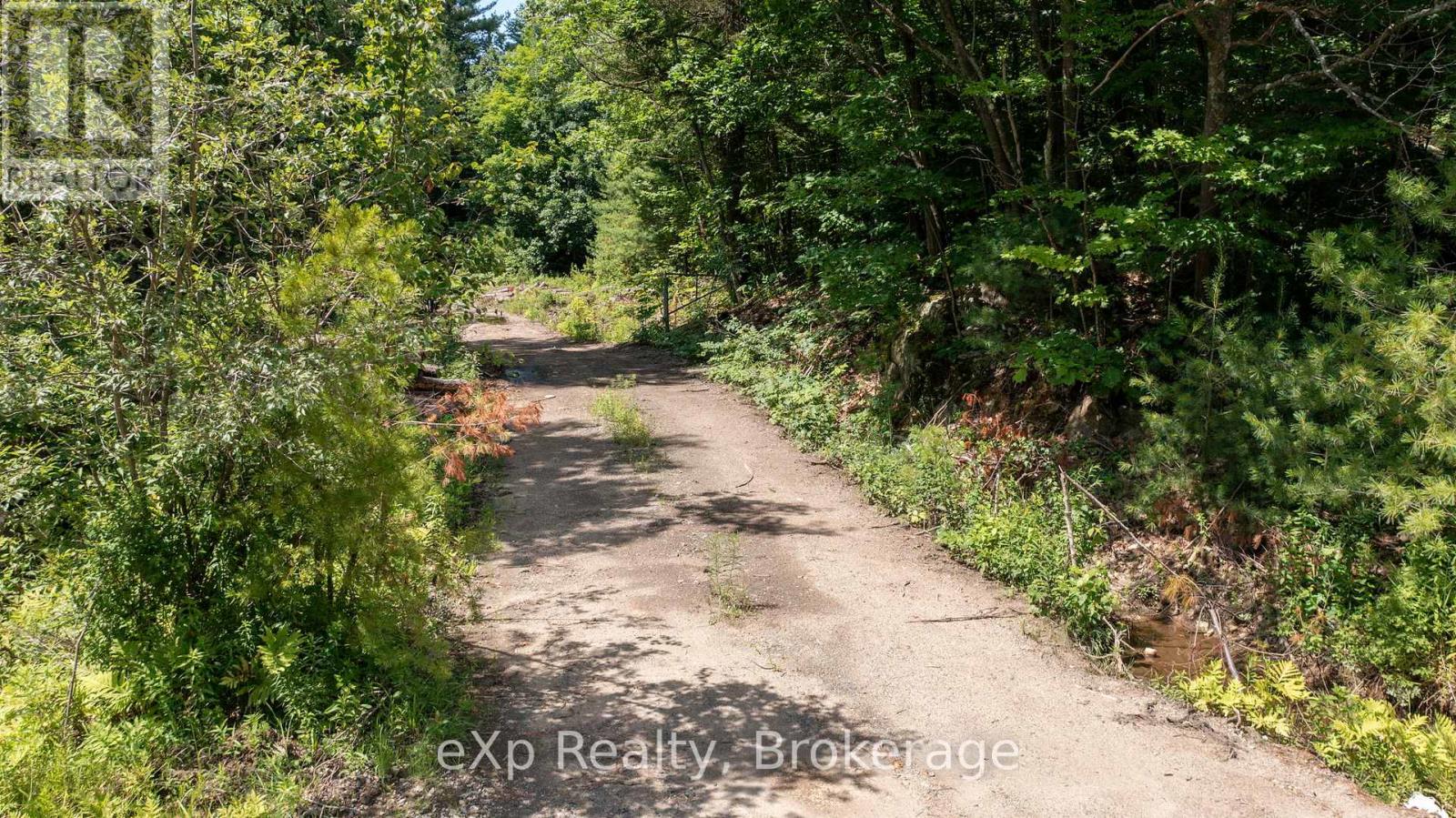 0 Oastler Park Drive, Seguin, Ontario  P2A 0B2 - Photo 13 - X12411297