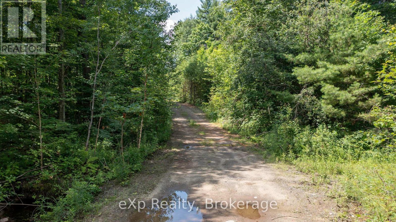 0 Oastler Park Drive, Seguin, Ontario  P2A 0B2 - Photo 14 - X12411297