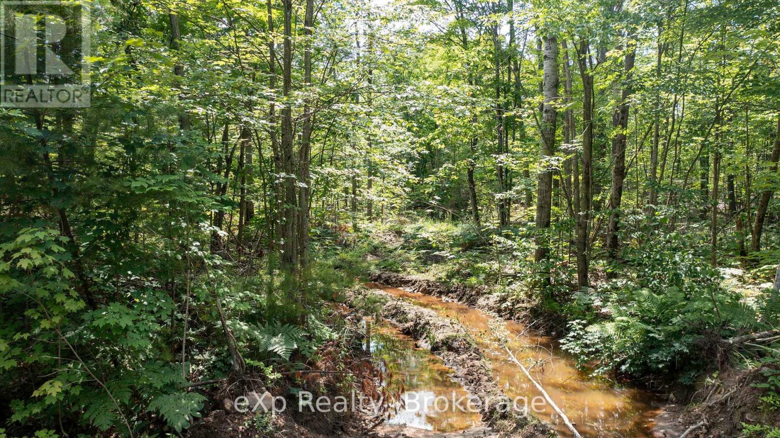 0 Oastler Park Drive, Seguin, Ontario  P2A 0B2 - Photo 15 - X12411297