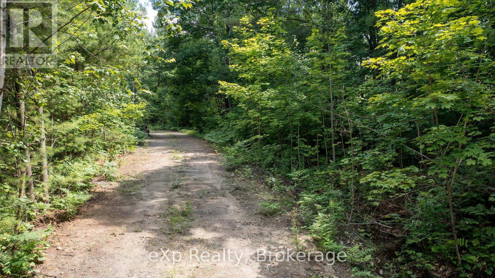 0 Oastler Park Drive, Seguin, Ontario  P2A 0B2 - Photo 16 - X12411297