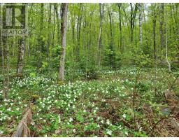 4244 MUSKOKA ROAD 117, Lake of Bays, Ontario