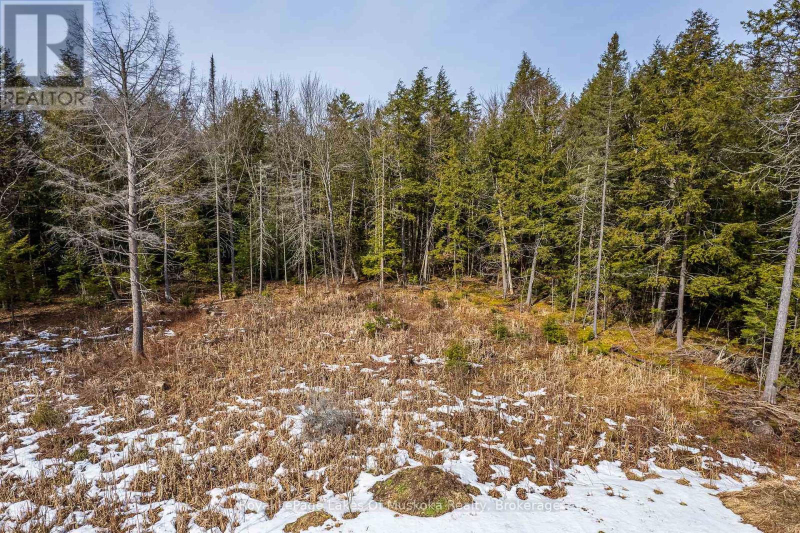 Part Lot 4, Muskoka Lakes, Ontario  P0B 1M0 - Photo 18 - X12415229