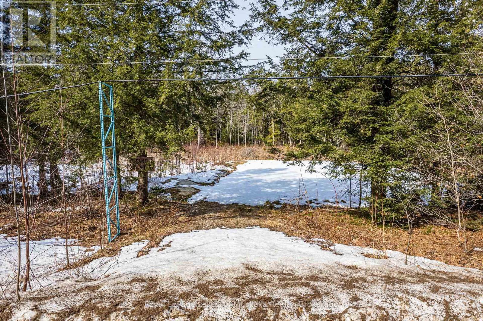 Part Lot 4, Muskoka Lakes, Ontario  P0B 1M0 - Photo 4 - X12415229