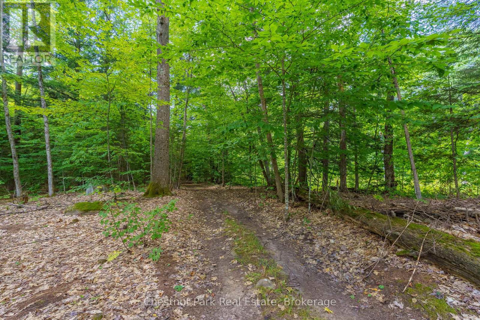 2698 Old Muskoka Road, Huntsville, Ontario  P0B 1M0 - Photo 48 - X12415276