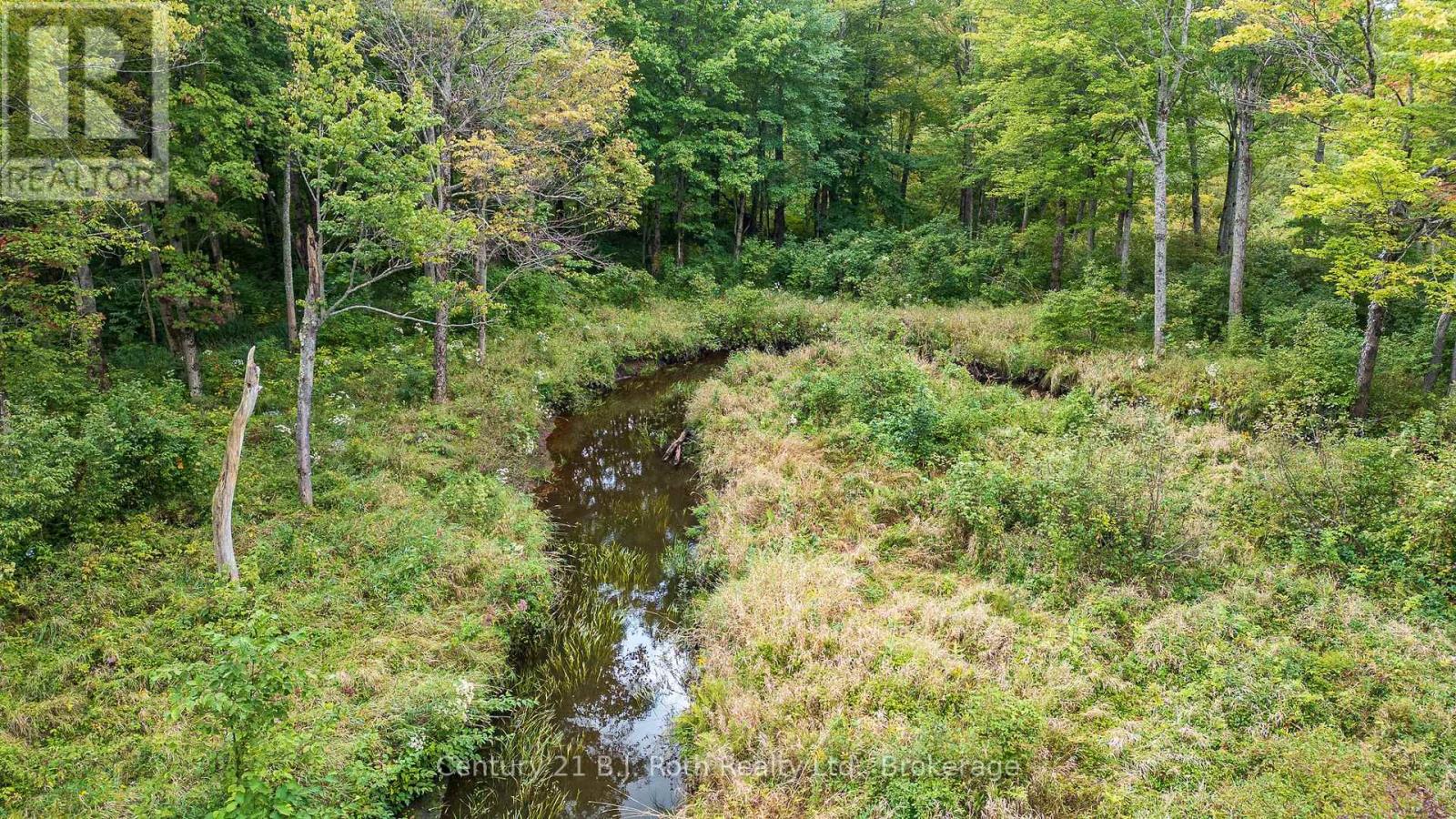 Lot 20 Beiers Road, Gravenhurst, Ontario  P0E 1N0 - Photo 11 - X12420388