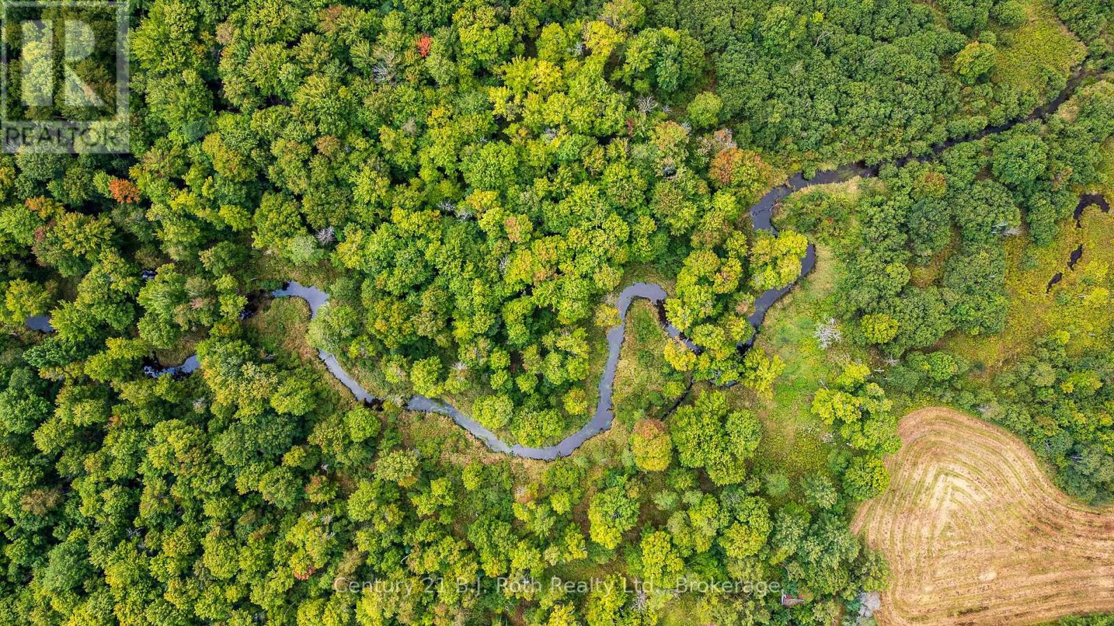 1233 Beiers Rd, Gravenhurst, Ontario  P0E 1N0 - Photo 5 - X12420390