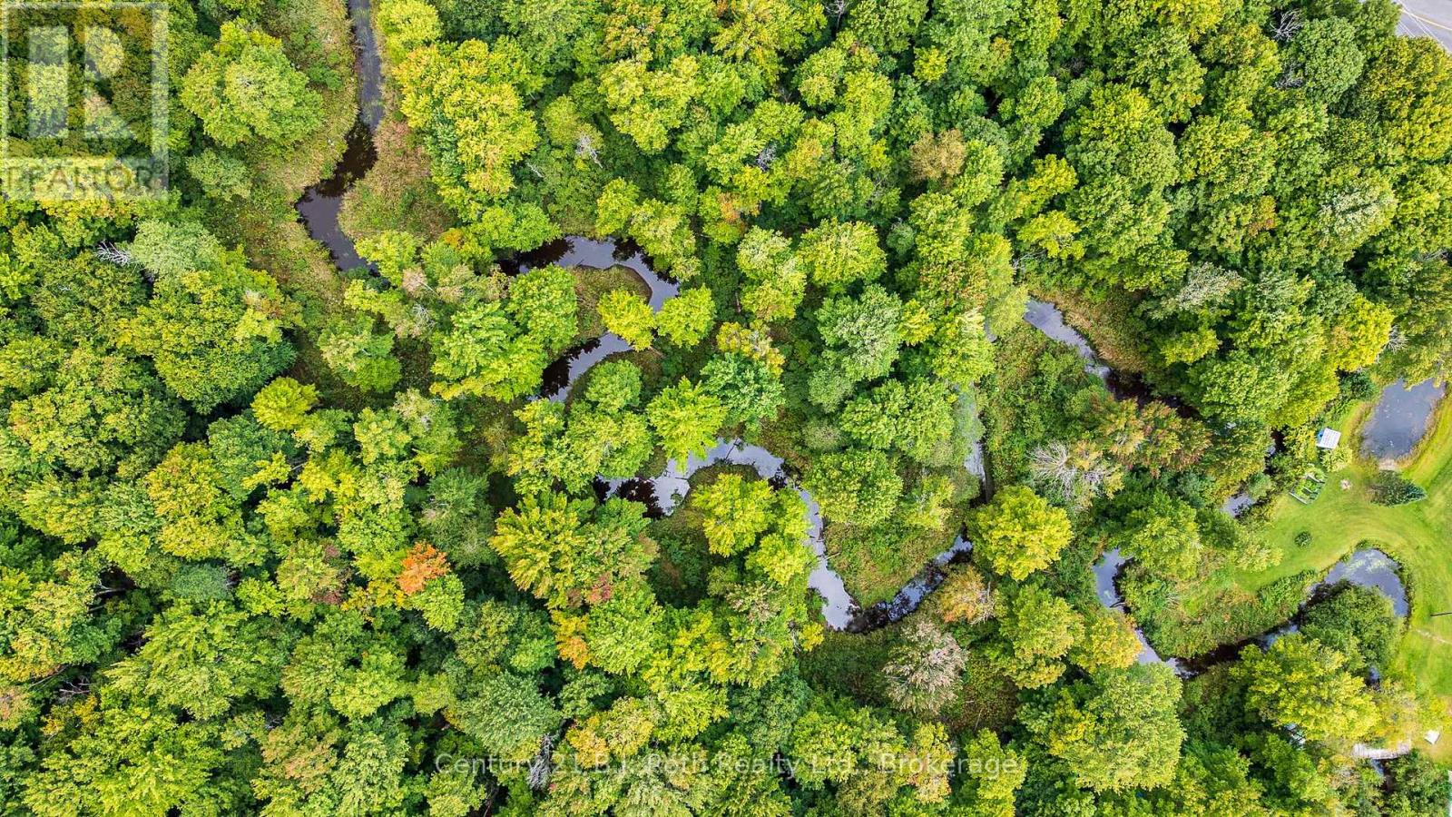 1233 Beiers Rd, Gravenhurst, Ontario  P0E 1N0 - Photo 7 - X12420390