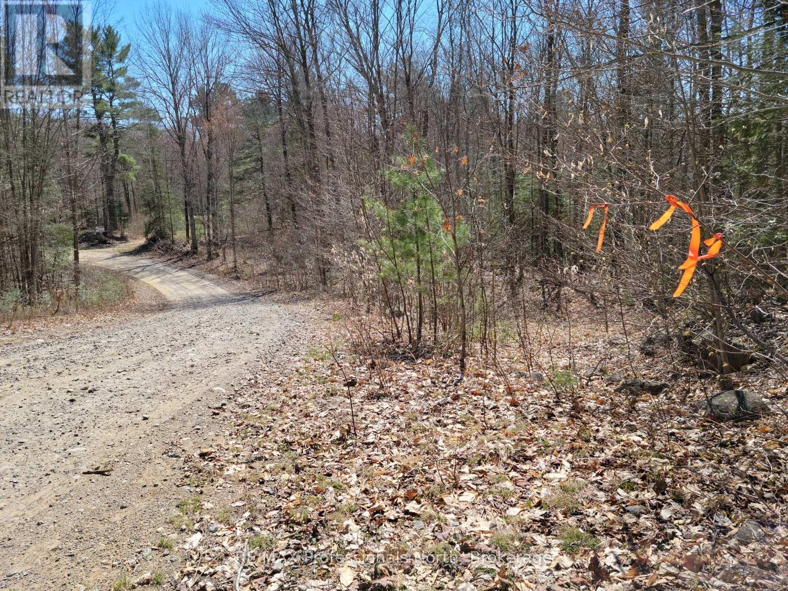 Lot 32 Concession 11, Huntsville, Ontario  P1H 2J6 - Photo 1 - X12420963