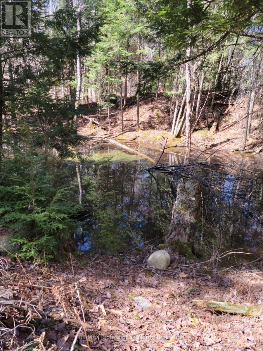 Lot 32 Concession 11, Huntsville, Ontario  P1H 2J6 - Photo 2 - X12420963