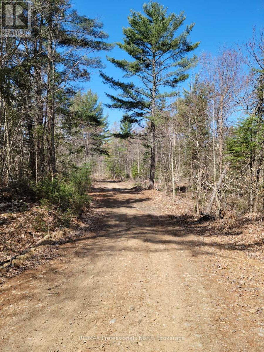 Lot 32 Concession 11, Huntsville, Ontario  P1H 2J6 - Photo 3 - X12420963