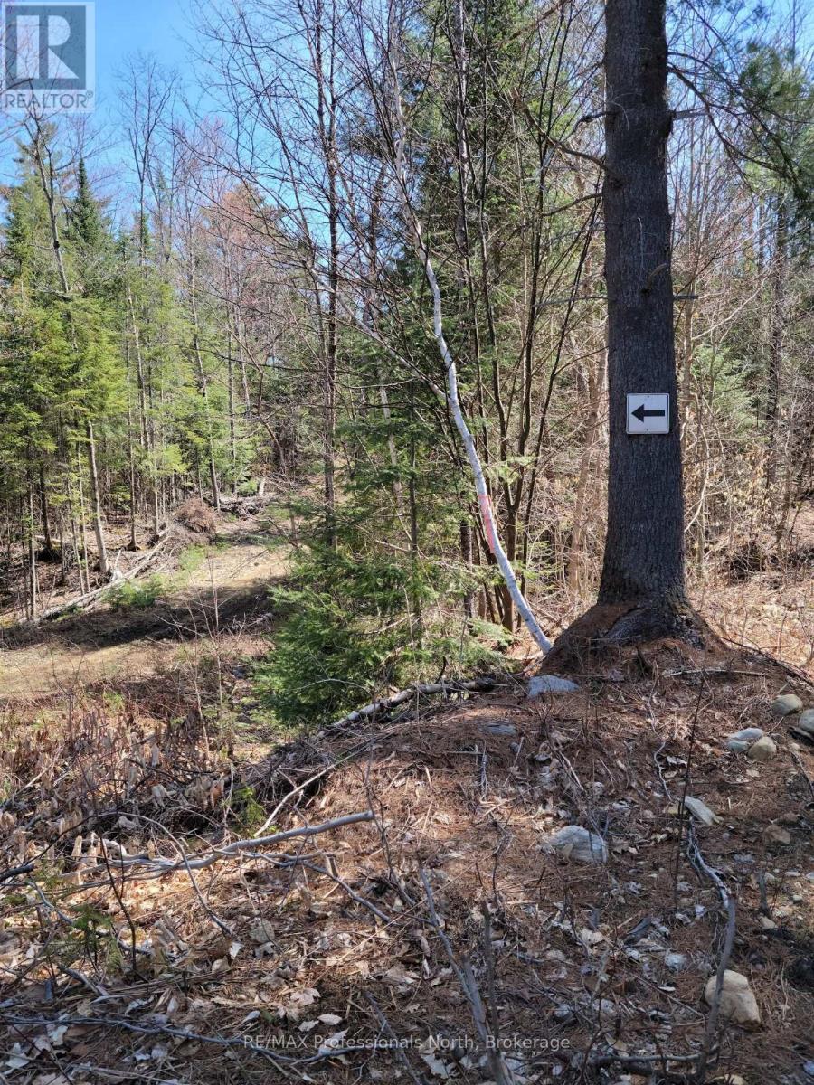 Lot 32 Concession 11, Huntsville, Ontario  P1H 2J6 - Photo 5 - X12420963