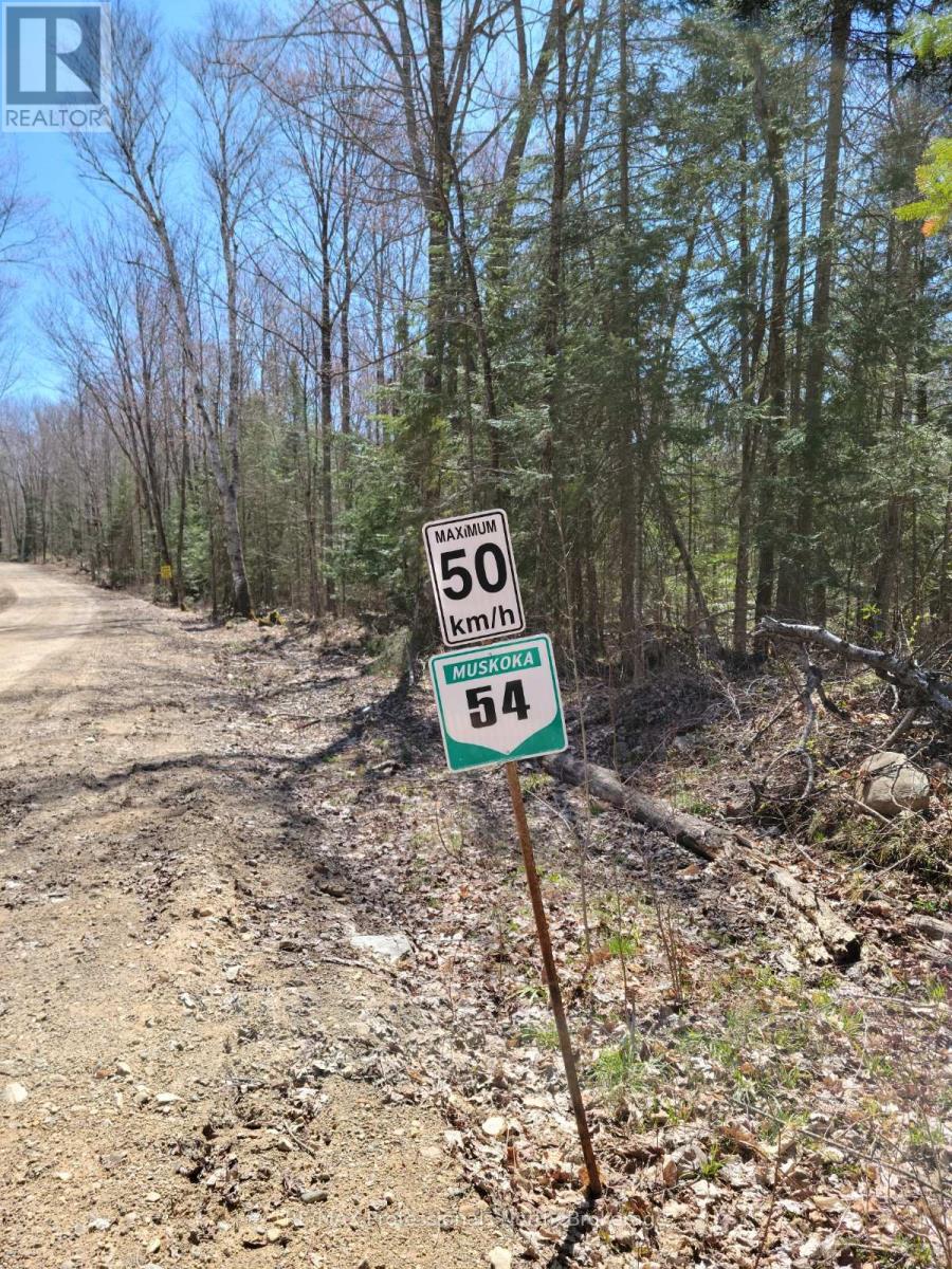 Lot 32 Concession 11, Huntsville, Ontario  P1H 2J6 - Photo 9 - X12420963