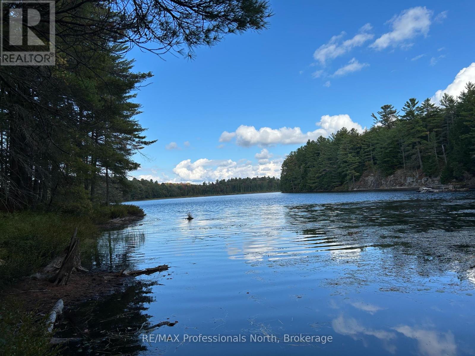 Lot 9 & 10 Concession 5, Lake Of Bays, Ontario  P0B 1A0 - Photo 1 - X12421805