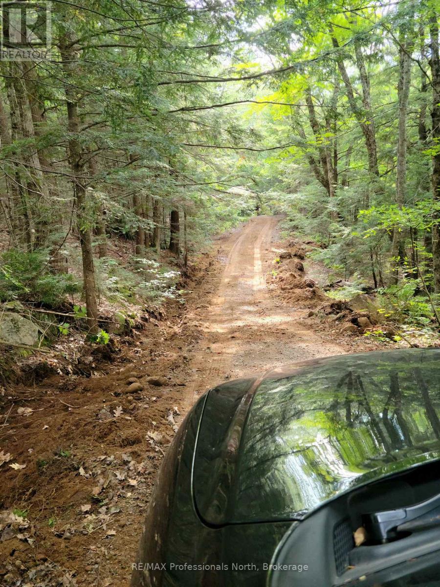 Lot 9 & 10 Concession 5, Lake Of Bays, Ontario  P0B 1A0 - Photo 10 - X12421805