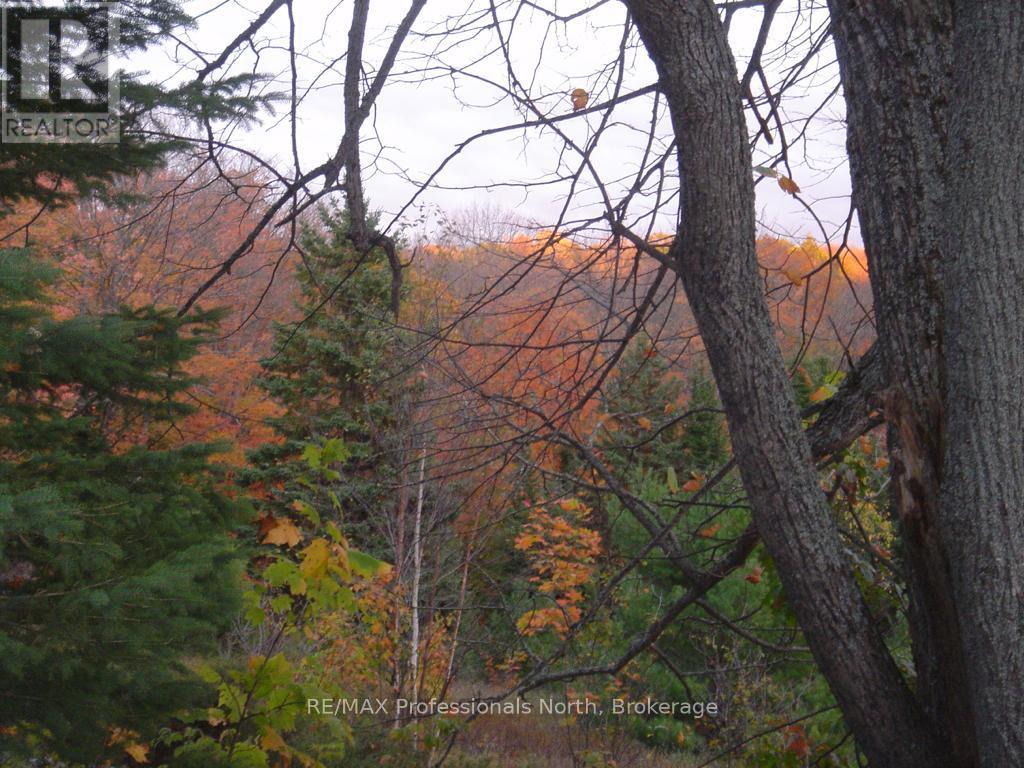 Lot 9 & 10 Concession 5, Lake Of Bays, Ontario  P0B 1A0 - Photo 12 - X12421805