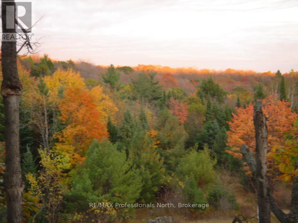 Lot 9 & 10 Concession 5, Lake Of Bays, Ontario  P0B 1A0 - Photo 13 - X12421805