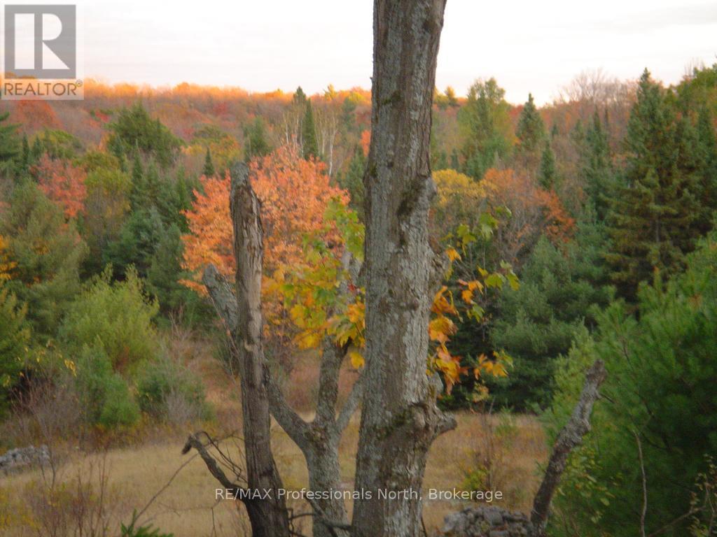 Lot 9 & 10 Concession 5, Lake Of Bays, Ontario  P0B 1A0 - Photo 14 - X12421805