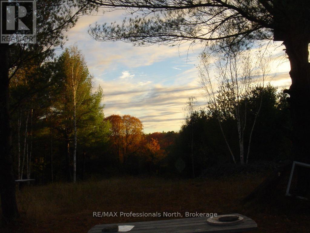 Lot 9 & 10 Concession 5, Lake Of Bays, Ontario  P0B 1A0 - Photo 15 - X12421805