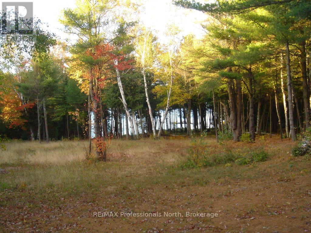 Lot 9 & 10 Concession 5, Lake Of Bays, Ontario  P0B 1A0 - Photo 16 - X12421805
