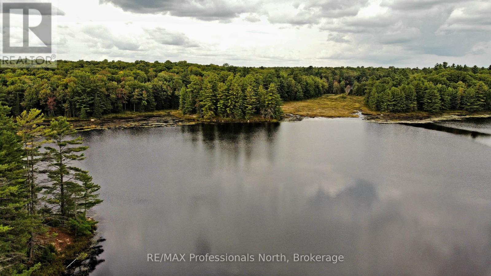 Lot 9 & 10 Concession 5, Lake Of Bays, Ontario  P0B 1A0 - Photo 19 - X12421805