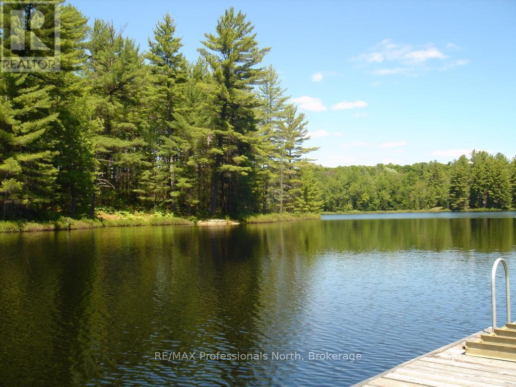 Lot 9 & 10 Concession 5, Lake Of Bays, Ontario  P0B 1A0 - Photo 2 - X12421805