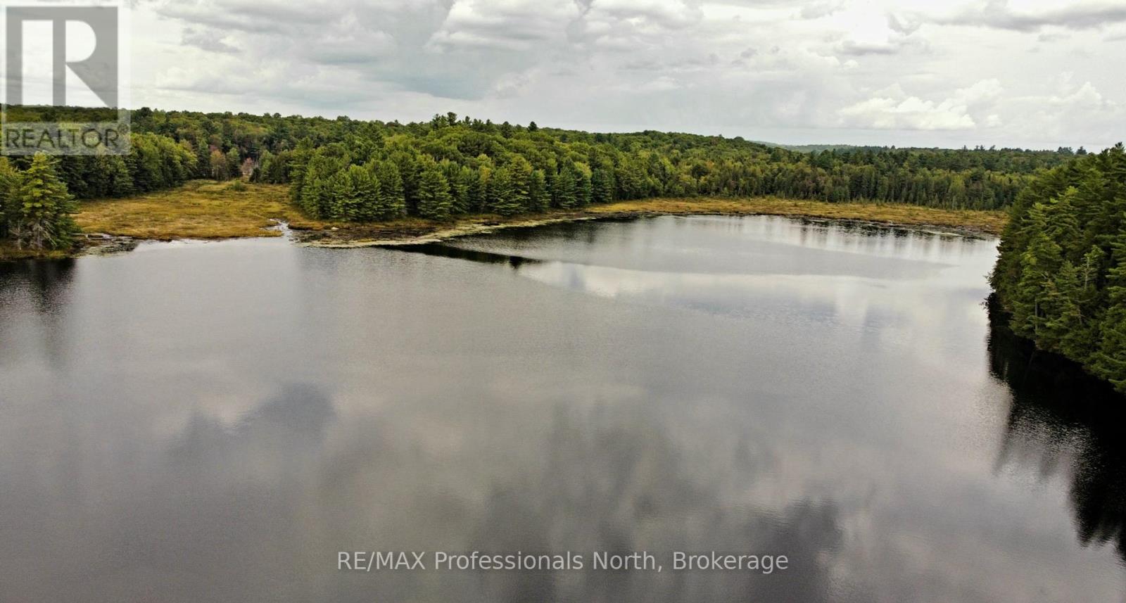 Lot 9 & 10 Concession 5, Lake Of Bays, Ontario  P0B 1A0 - Photo 20 - X12421805