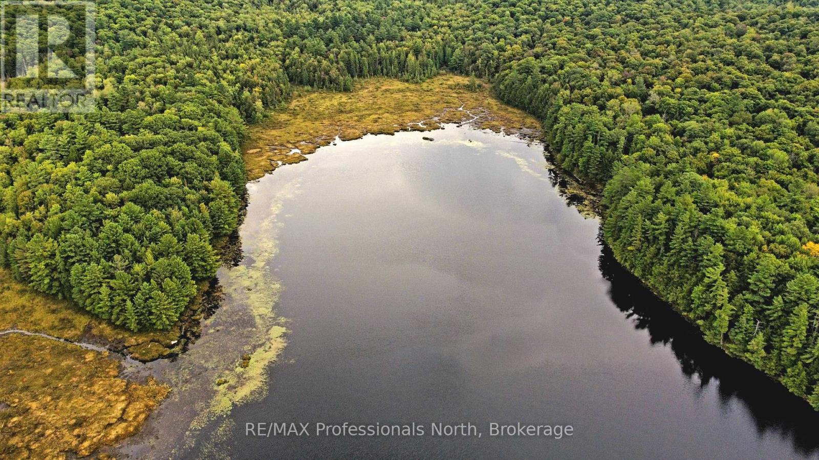 Lot 9 & 10 Concession 5, Lake Of Bays, Ontario  P0B 1A0 - Photo 21 - X12421805