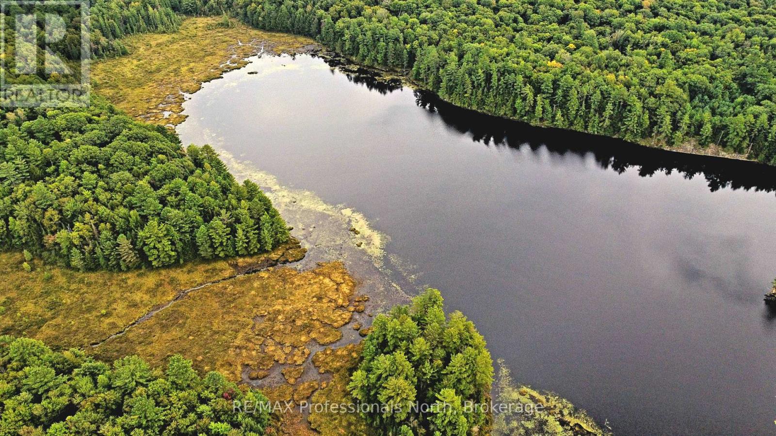 Lot 9 & 10 Concession 5, Lake Of Bays, Ontario  P0B 1A0 - Photo 23 - X12421805